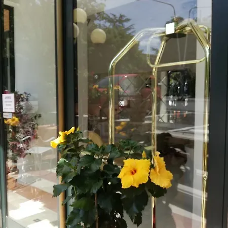 Eco-hotel Edy Hotel 3*